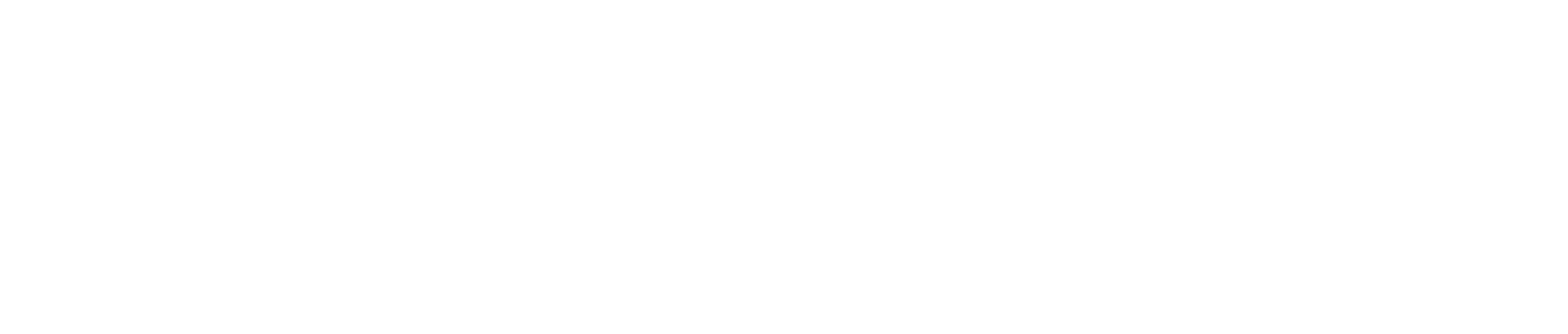ACTIVECORE PERFORMANCE